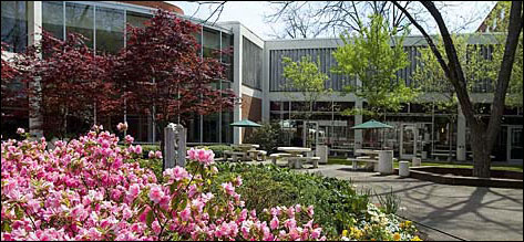 View of the Georgia Center courtyard with seating and beautiful plantings.