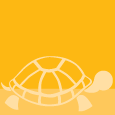 Illustration of a turtle